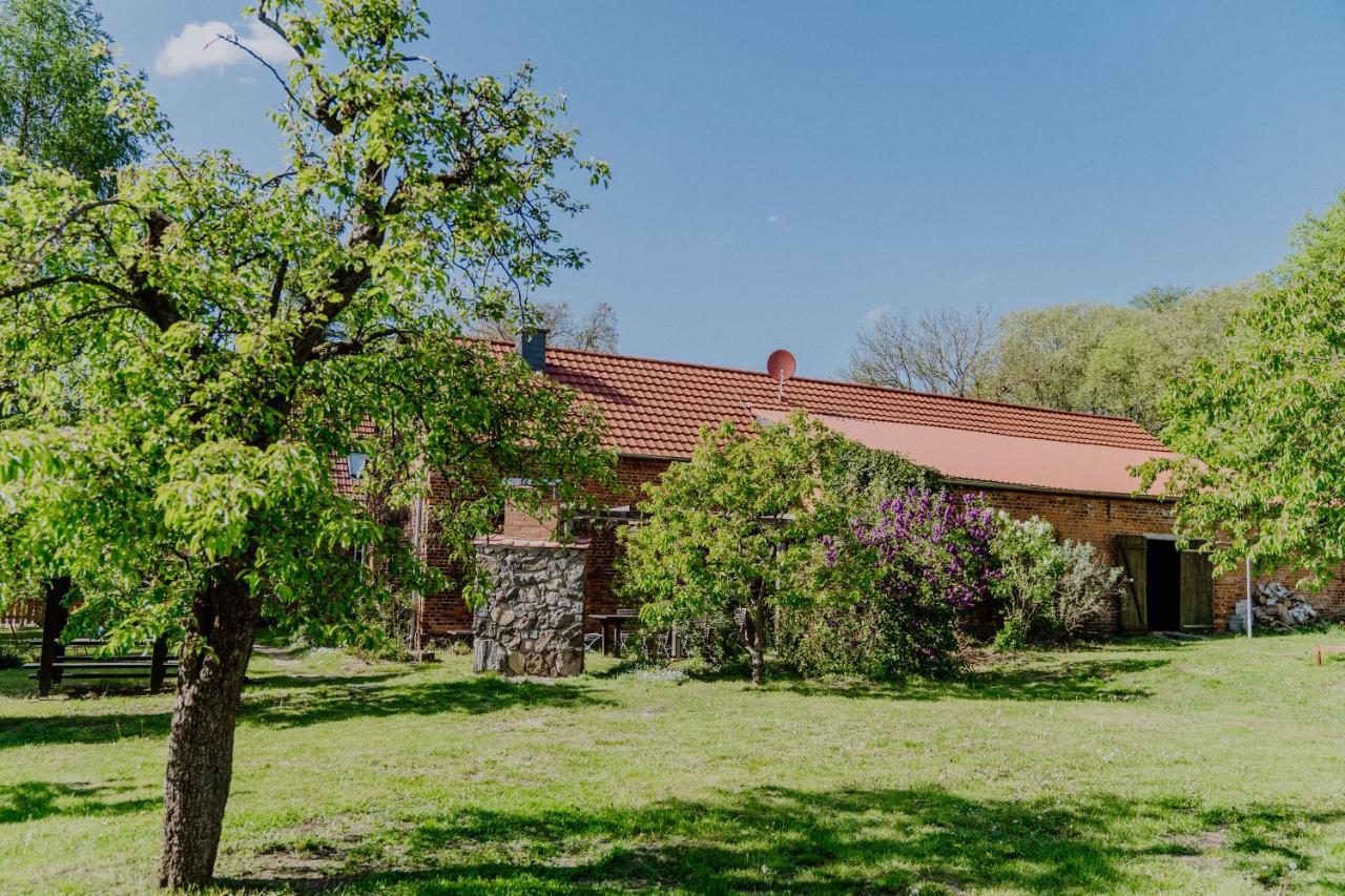Casa di campagna Goldene Gans Gross Pankow (Prignitz)